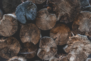 Similar image 21385859