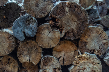 Similar image 21385863