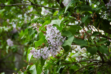 Similar image 21382832