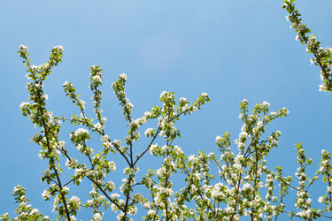 Similar image 21382835