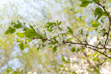 Similar image 21385405