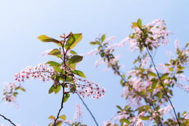 Similar image 21382839