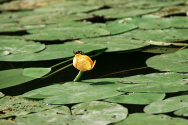 Similar image 21382842