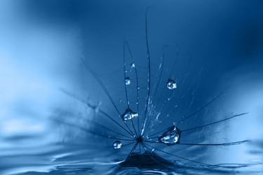 Similar image 21385170