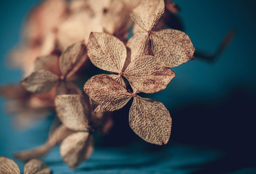 Similar image 21385172