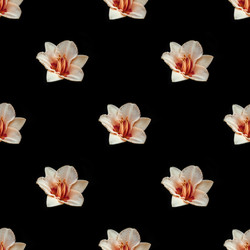 Similar image 21385175