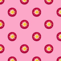 Similar image 21385179