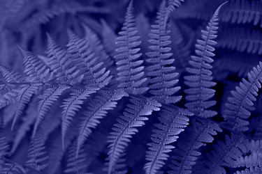 Similar image 21385201