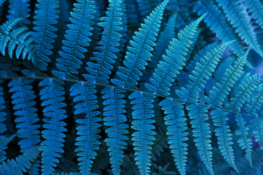 Similar image 21385211