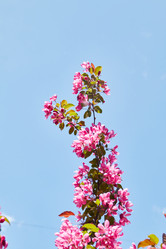 Similar image 21382850