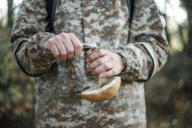 Similar image 21385217