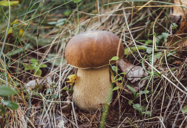 Similar image 21385221