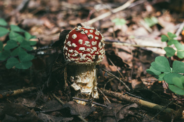 Similar image 21385224