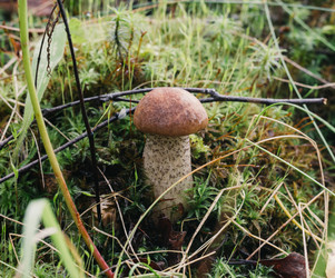 Similar image 21385227