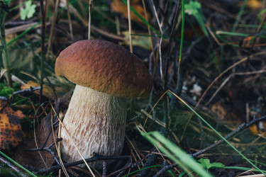 Similar image 21385228