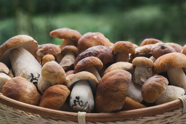 Similar image 21385230