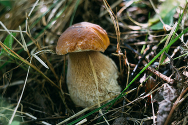 Similar image 21385231