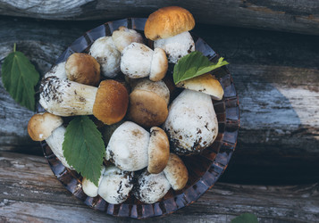 Similar image 21385232