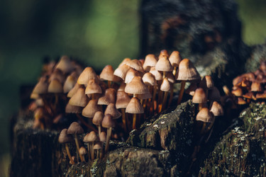 Similar image 21385241