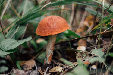 Similar image 21385256