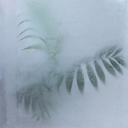 Similar image 21382855