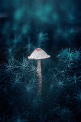 Similar image 21385879