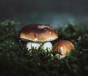 Similar image 21385884