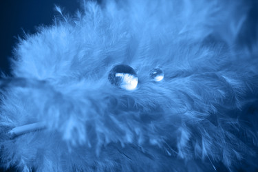 Similar image 21385889