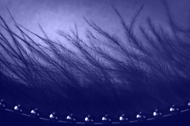 Similar image 21385893