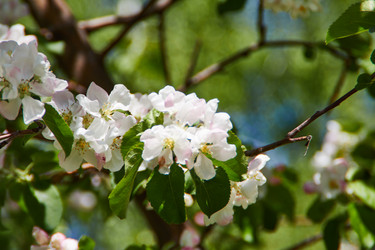 Similar image 21421992