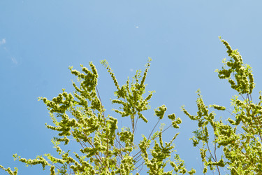 Similar image 21421994