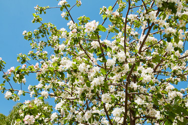 Similar image 21421995