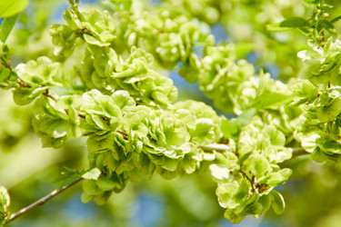 Similar image 21421996