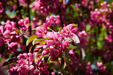 Similar image 21421997