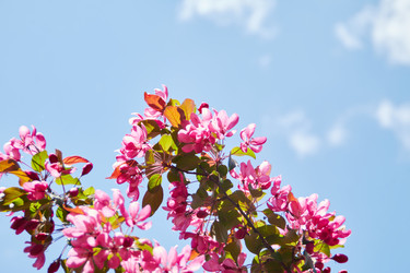 Similar image 21399884