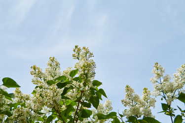 Similar image 21421998