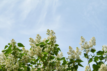 Similar image 21421999