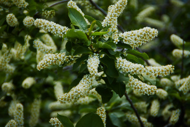 Similar image 21422000