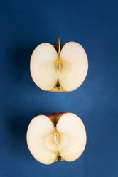 Similar image 21385413