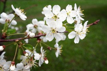 Similar image 21385414