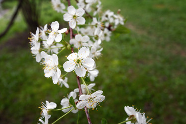 Similar image 21422002