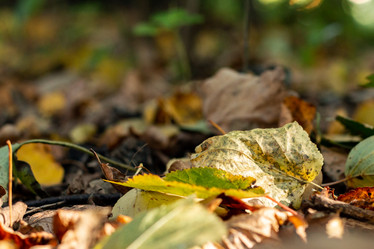 Similar image 21422156