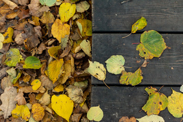 Similar image 21422157