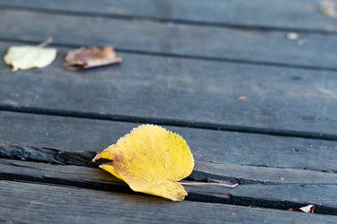 Similar image 21422158