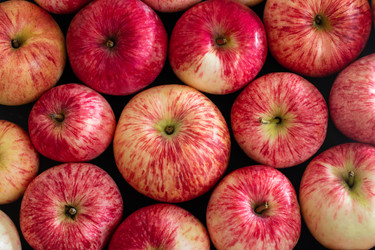 Similar image 21385934