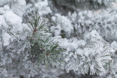 Similar image 21402705