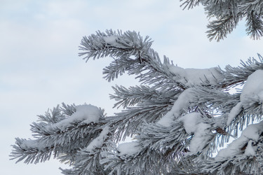 Similar image 21422161