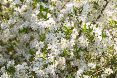 Similar image 21422166