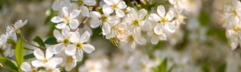 Similar image 21399590