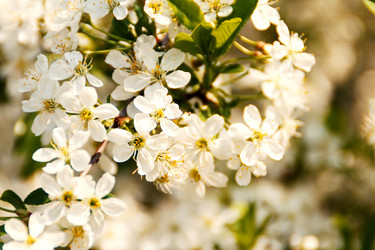 Similar image 21382857